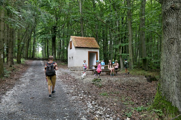 Dětský týden 21, v LESE a ukončení