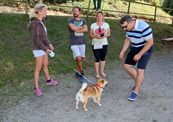 Dětský týden 21, v LESE a ukončení