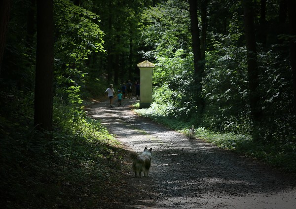 Dětský týden, 1. část