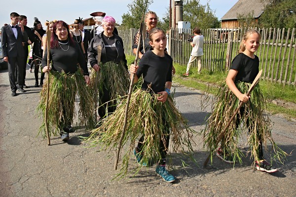 PAČOKY 2022