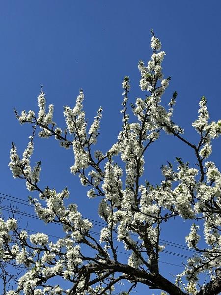 Velikonoce a Country bál