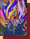  IMG_1294 